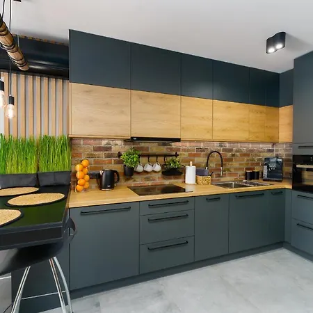 Loft House By Perlowa Przystan Rent شقة *